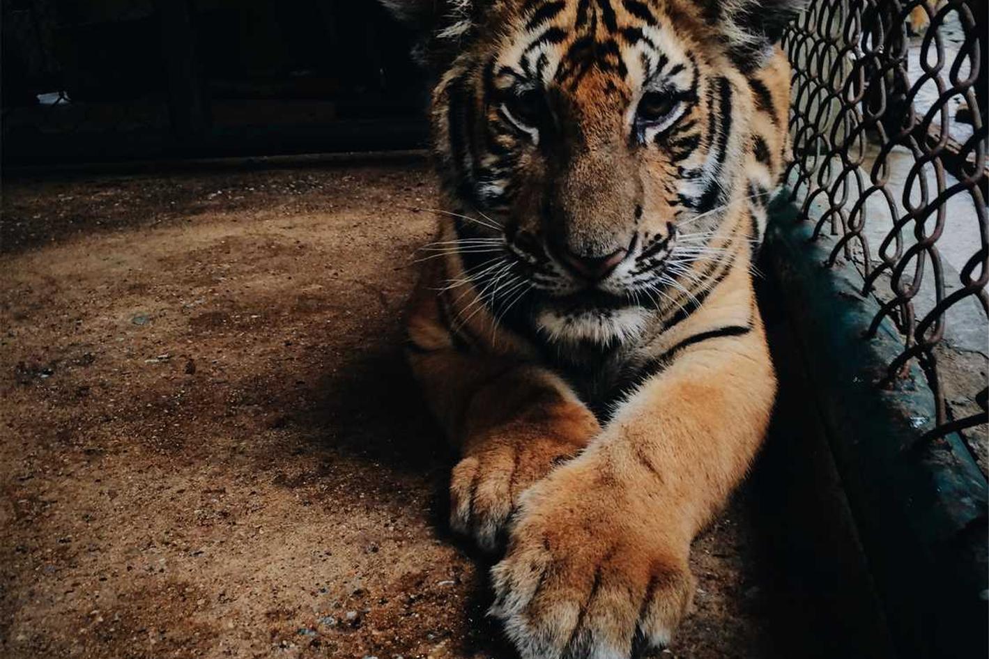 Eligendi perspiciatis aut voluptatem